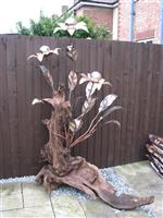 Gaint Ball Flower .JPG